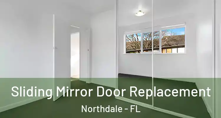 Sliding Mirror Door Replacement Northdale - FL