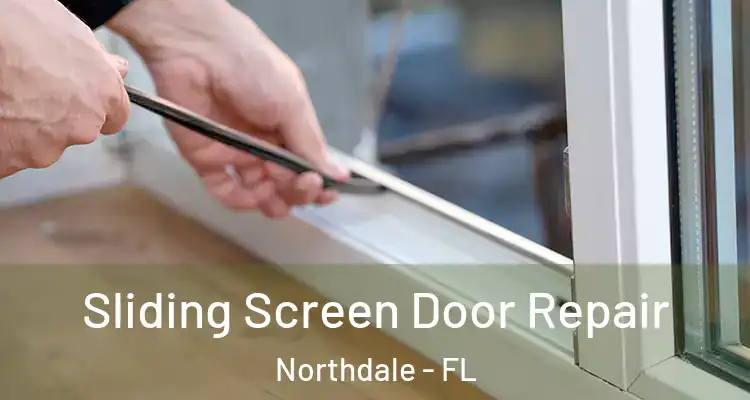 Sliding Screen Door Repair Northdale - FL