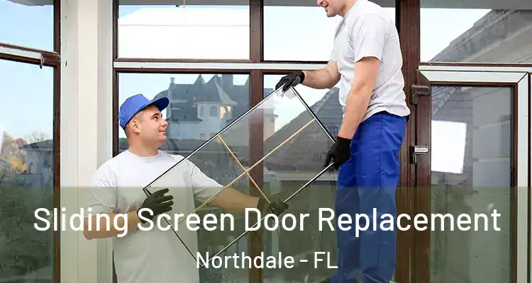 Sliding Screen Door Replacement Northdale - FL