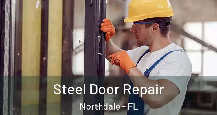 Steel Door Repair Northdale - FL