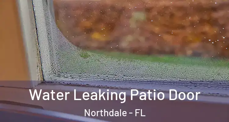 Water Leaking Patio Door Northdale - FL