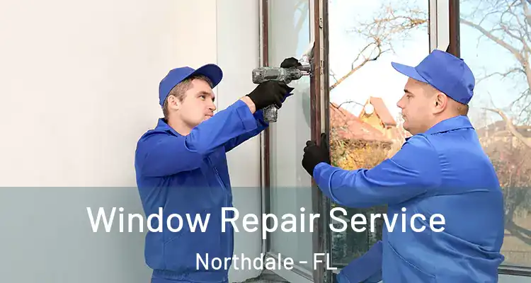  Window Repair Service Northdale - FL