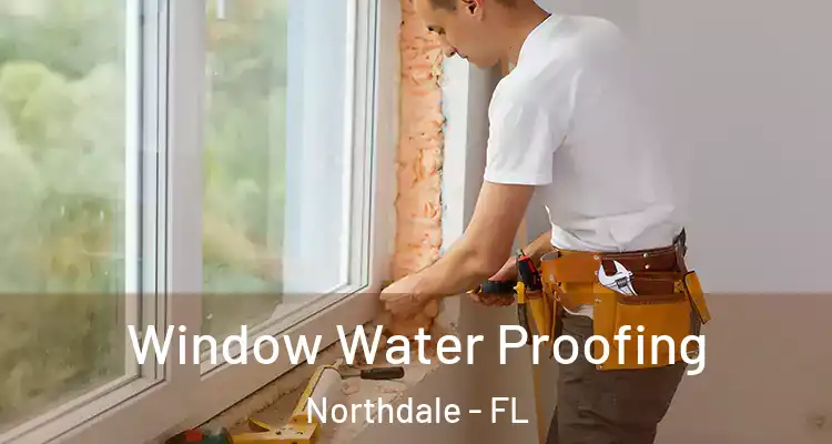 Window Water Proofing Northdale - FL