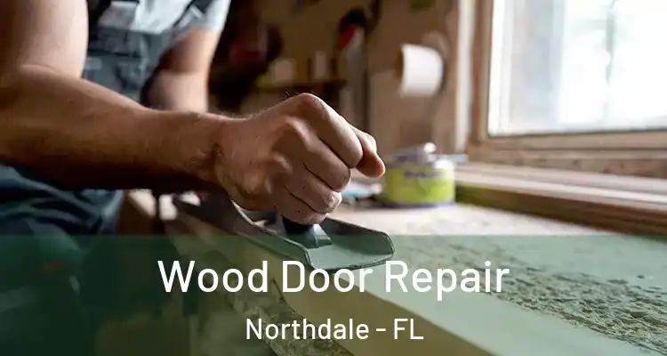 Wood Door Repair Northdale - FL
